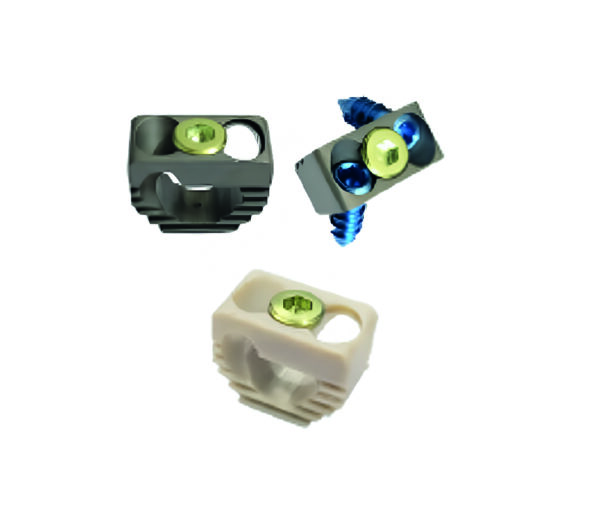 PROTESIS DE DISCO CERVICAL AUTOSUSTENTABLE